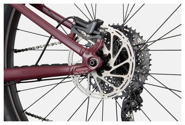 Cannondale Habit HT 2 MicroShift Advent X Pro 10V 29'' Rosso scuro Mountain Bike semirigida