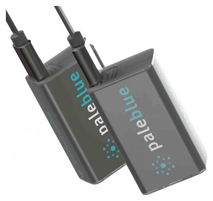 USB 9V / 6LR61 RECHARGEABLE BATTERY