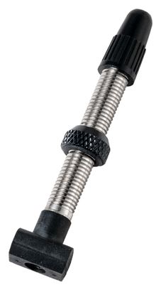 Valve Tubeless DT Swiss Presta R6.5