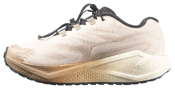 Chaussures Running Salomon Aero Blaze 4 GRVL Beige/Noir Femme