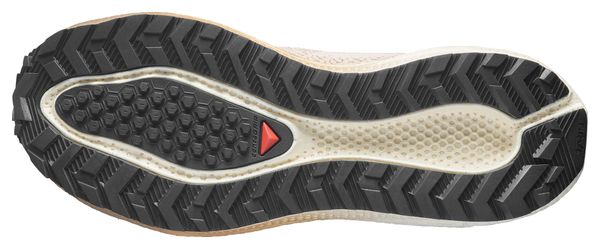 Chaussures Running Salomon Aero Blaze 4 GRVL Beige/Noir Femme
