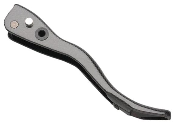 Campagnolo Super Record EPS Disc 12V Linker Hendel