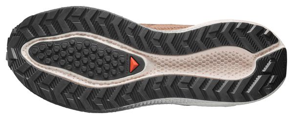 Chaussures Running Salomon Aero Blaze 4 GRVL Marron/Noir Homme