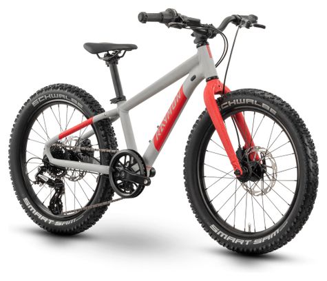 Bicicletta da bambino Raymon Yanga 20 Pro Shimano Altus 8V 20'' Grigio/Rosso