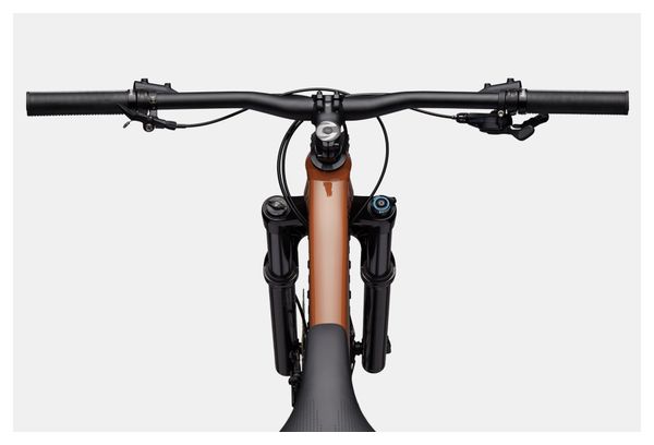 Cannondale Habit HT 1 MicroShift Advent X Pro 12V 29'' Brown