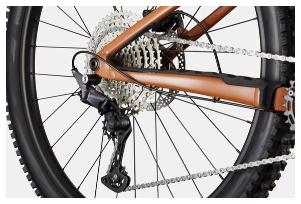 Bicicleta de montaña semirrígida Cannondale Habit HT 1 MicroShift Advent X Pro 12V 29'' Canela Marrón