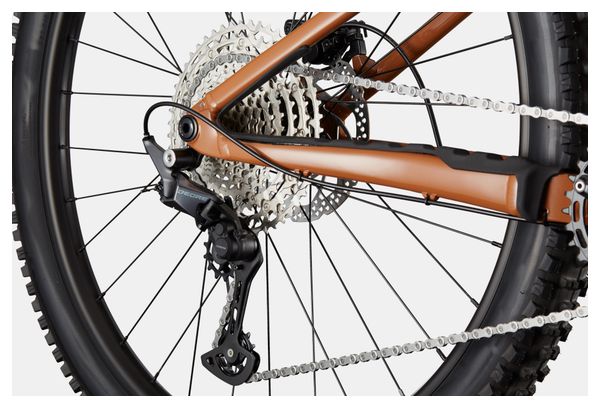 Achetez des vélos Cannondale ☑️ Route, VTT et électriques
