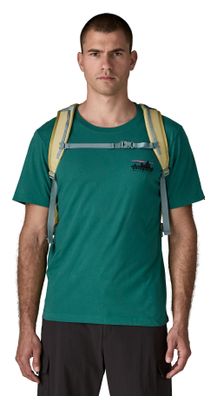 Patagonia Refugio DayPack 30L Backpack, Beige/Green