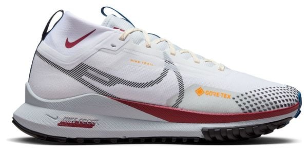 Chaussures Trail Nike Pegasus Trail 4 GTX Blanc/Multicolore Homme