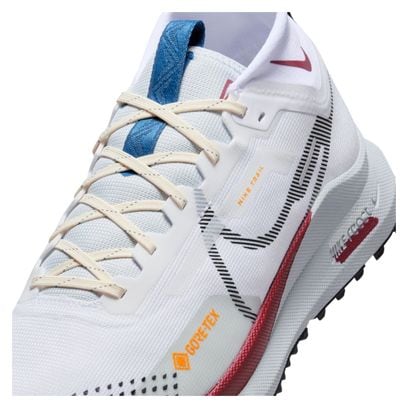 Chaussures Trail Nike Pegasus Trail 4 GTX Blanc/Multicolore Homme