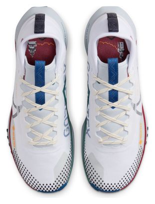 Chaussures Trail Nike Pegasus Trail 4 GTX Blanc/Multicolore Homme