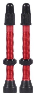 Tubeless Ventile WTB TCS Messing Presta Ventil Rot