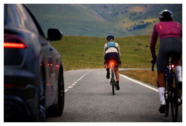 Éclairage Arrière avec Radar Vélo Garmin Varia RearVue 820