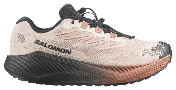 Chaussures Running Salomon Aero Blaze 4 GRVL GTX Beige/Marron Homme