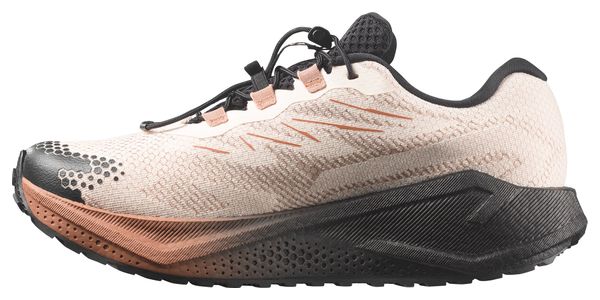 Chaussures Running Salomon Aero Blaze 4 GRVL GTX Beige/Marron Homme