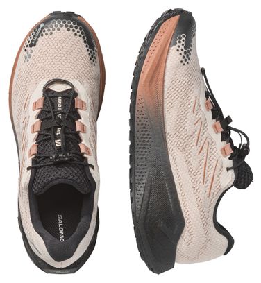 Chaussures Running Salomon Aero Blaze 4 GRVL GTX Beige/Marron Homme