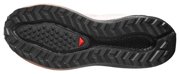 Chaussures Running Salomon Aero Blaze 4 GRVL GTX Beige/Marron Homme