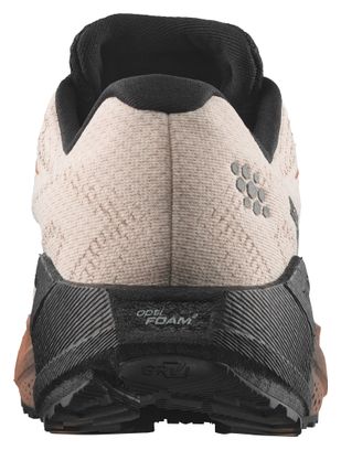 Chaussures Running Salomon Aero Blaze 4 GRVL GTX Beige/Marron Homme