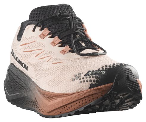 Chaussures Running Salomon Aero Blaze 4 GRVL GTX Beige/Marron Homme