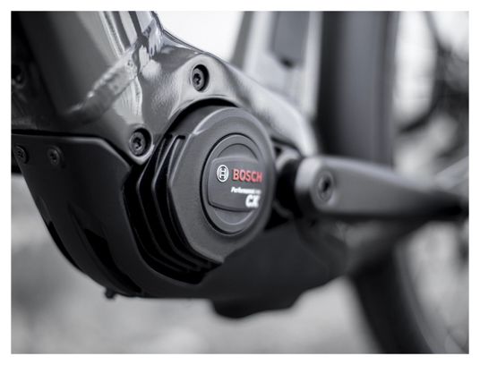 Trek Allant + 8S Stagger City Bike elettrica Shimano Deore 10V 625 Wh 650b Lithium Grey 2021