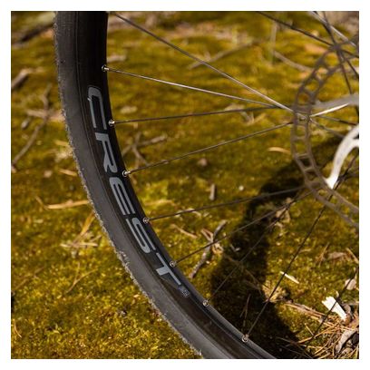 Stan's Crest S2 29'' | Boost 12x148 mm | 6 Hole Rear Wheel