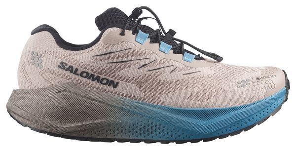 Salomon Aero Blaze 4 GRVL GTX Laufschuhe für Herren, Beige/Blau
