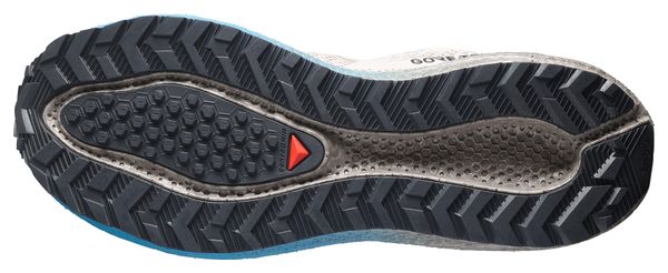 Salomon Aero Blaze 4 GRVL GTX Laufschuhe für Herren, Beige/Blau