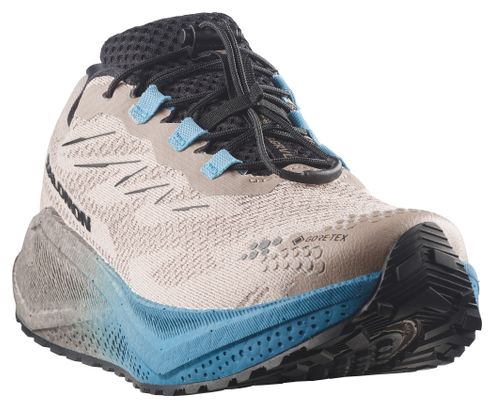 Salomon Aero Blaze 4 GRVL GTX Laufschuhe für Herren, Beige/Blau