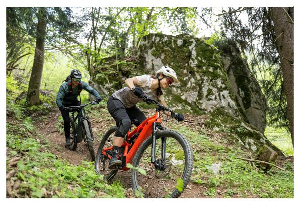 Rockrider E-Expl 520 S Microshift Advent 10V 500Wh 29'' Rot Leuchtend 2024