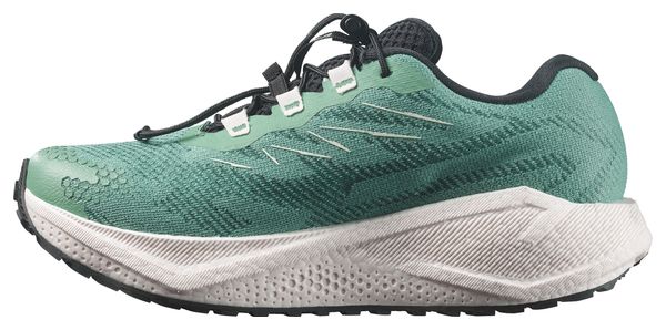 Chaussures Running Salomon Aero Blaze 4 GRVL GTX Vert Femme