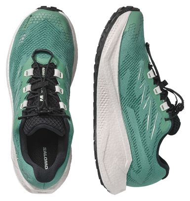 Chaussures Running Salomon Aero Blaze 4 GRVL GTX Vert Femme