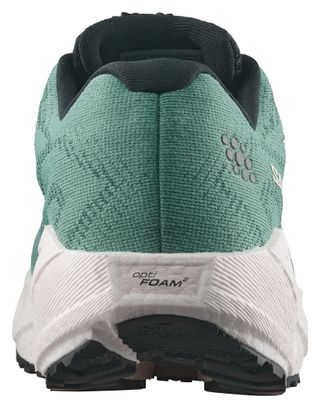 Chaussures Running Salomon Aero Blaze 4 GRVL GTX Vert Femme