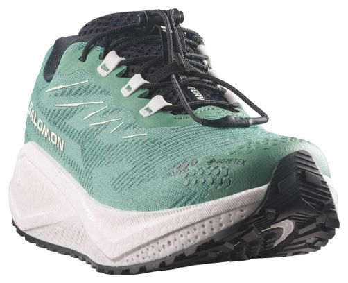 Chaussures Running Salomon Aero Blaze 4 GRVL GTX Vert Femme