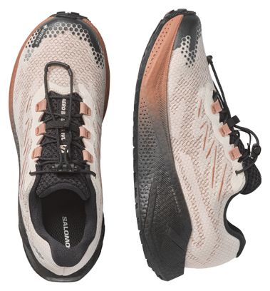 Chaussures Running Salomon Aero Blaze 4 GRVL GTX Beige/Marron Femme