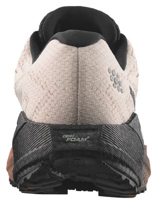 Chaussures Running Salomon Aero Blaze 4 GRVL GTX Beige/Marron Femme