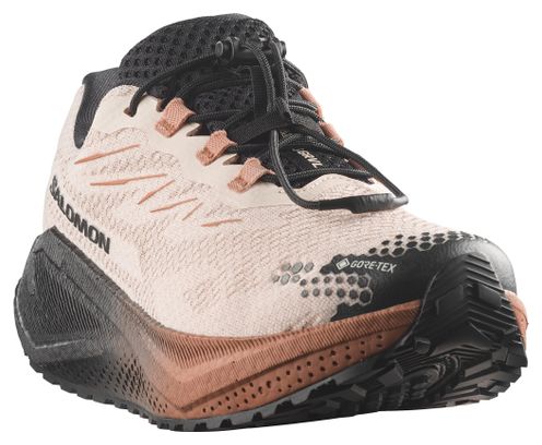 Chaussures Running Salomon Aero Blaze 4 GRVL GTX Beige/Marron Femme