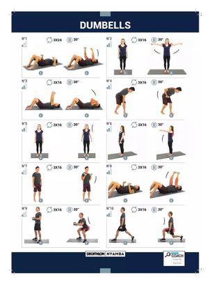 Haltères Decathlon Fitness Tonedumbell - 2x2kg