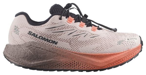 Salomon Aero Blaze 4 GRVL GTX Laufschuhe für Damen, Beige/Rosa