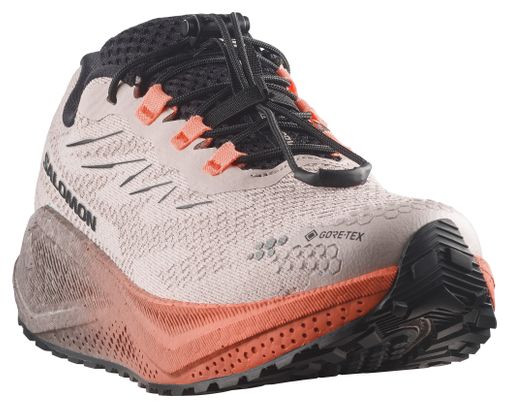 Salomon Aero Blaze 4 GRVL GTX Laufschuhe für Damen, Beige/Rosa