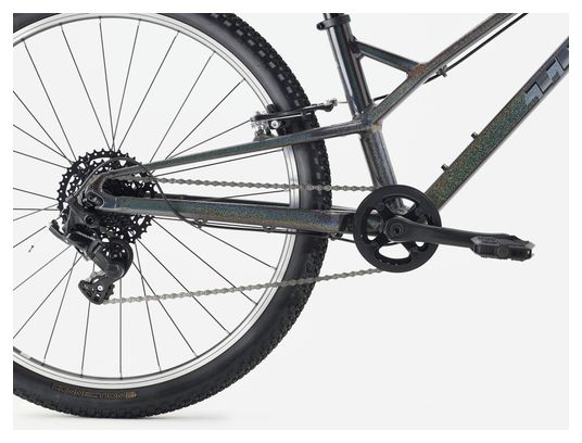 Trek Wahoo 26 Path Microshift 8V 26'' Rigid Mountain Bike per bambini Grigio 2026