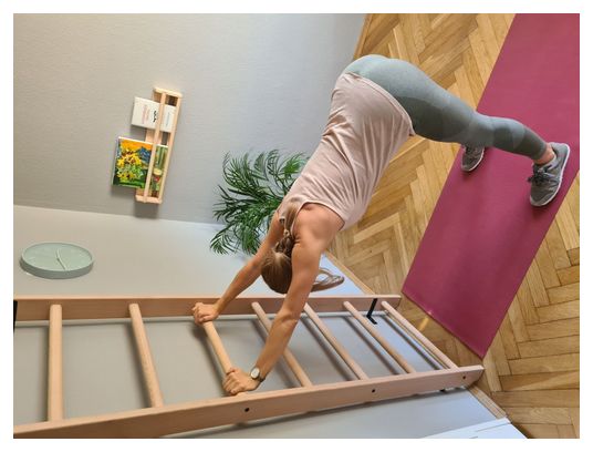 Espalier de gymnastique BenchK 100