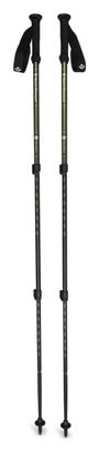 Bâtons de Randonnée Black Diamond Explorer 3 Trekking Poles Vert
