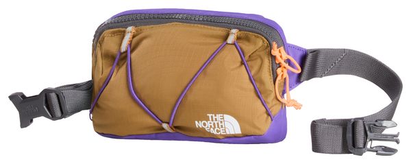 The North Face Terra 1L Brown/Purple Waist Bag