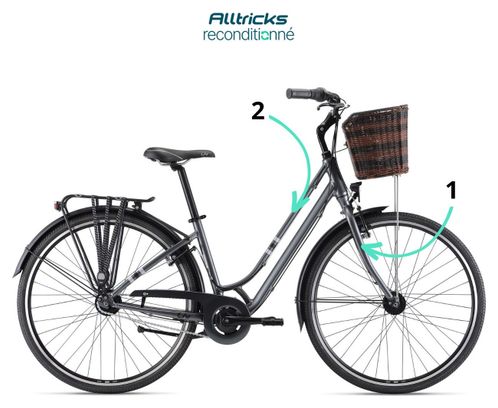 Liv Flourish 1 Stadsfiets Shimano Nexus 7V 700 mm Houtskool Grijs