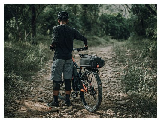 Topeak e-Xplorer TrunkBag Zwart