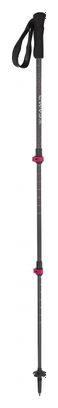 Bastoncini da donna Camp Backcountry Carbon