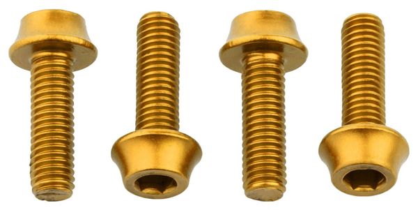 Pernos para jaula de botella de agua de dientes de lobo (x4) M5x15 mm dorado