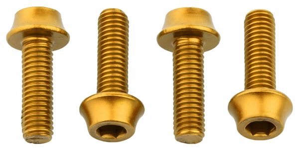 Set van 4 Wolf Tooth Water Bottle Cage Bolts M5x15mm Gold