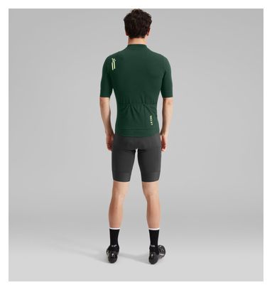 Herren-Kurzarmtrikot „Le Col ARC“ aus Merinowolle, grün