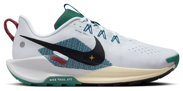 Nike Pegasus Trail 5 White Blue Men's Shoe